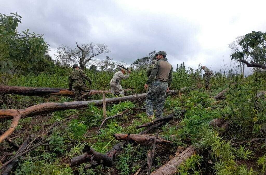 Brasil e Paraguai iniciam uma nova operação contra as drogas na fronteira
