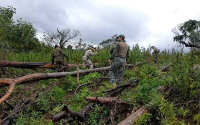 Brasil e Paraguai iniciam uma nova operação contra as drogas na fronteira