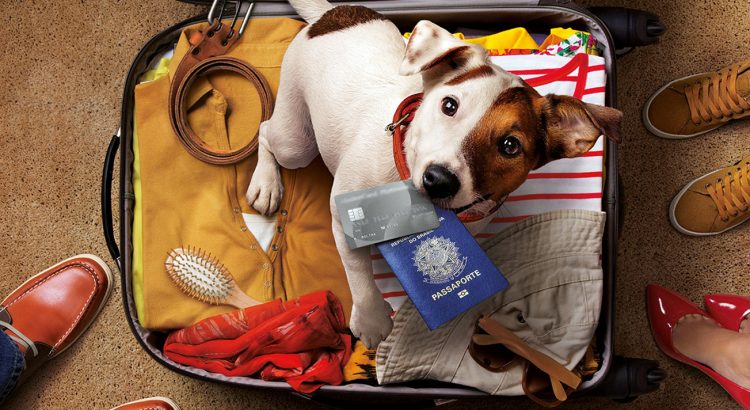 Brasil autoriza emissão de certificação online para viagens com pets à Europa