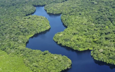 O Brasil, a Amazônia, e o acesso das grandes potências aos minerais