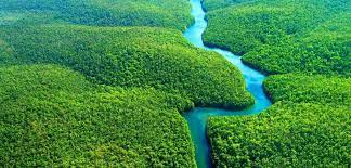 2024: o ano que a Amazônia viverá em perigo